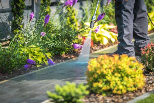 Best Fence Cleaning and Maintenance in Moss Bluff, LA
