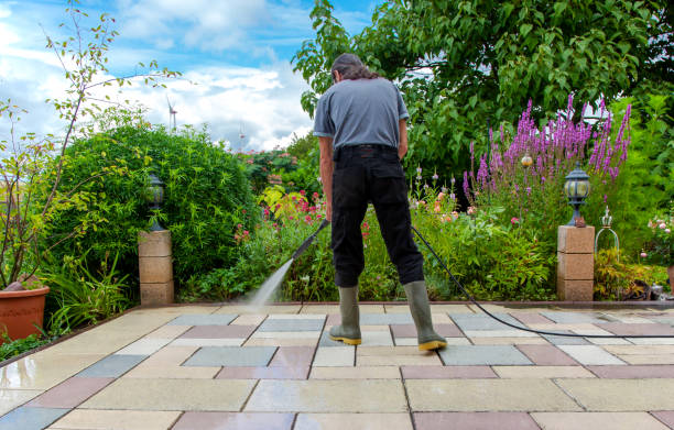 Best Soft Washing for Delicate Surfaces in Moss Bluff, LA
